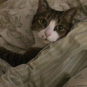 Meet your Posher, Wendy